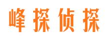 桐城市私家调查